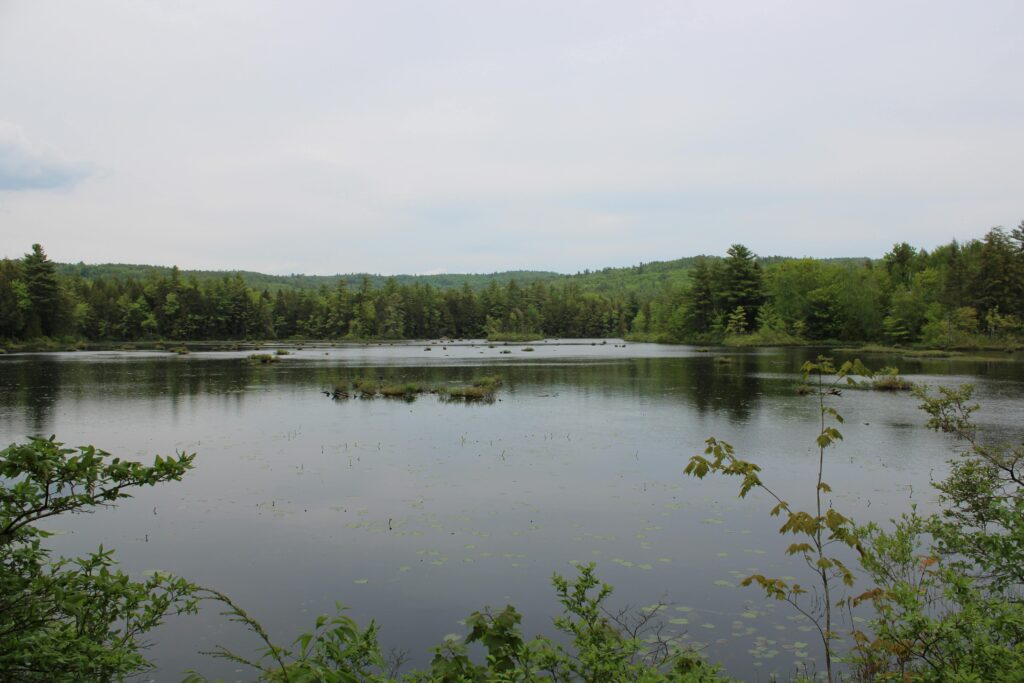New Hampshire