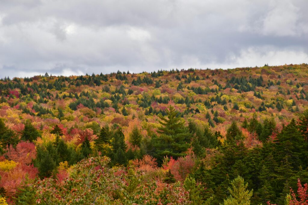 New Hampshire