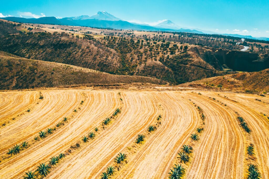 New Mexico