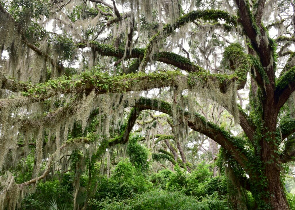 South Carolina