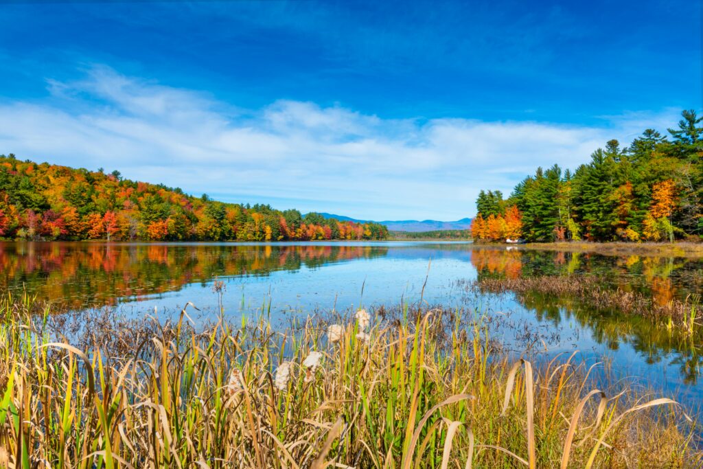 New Hampshire