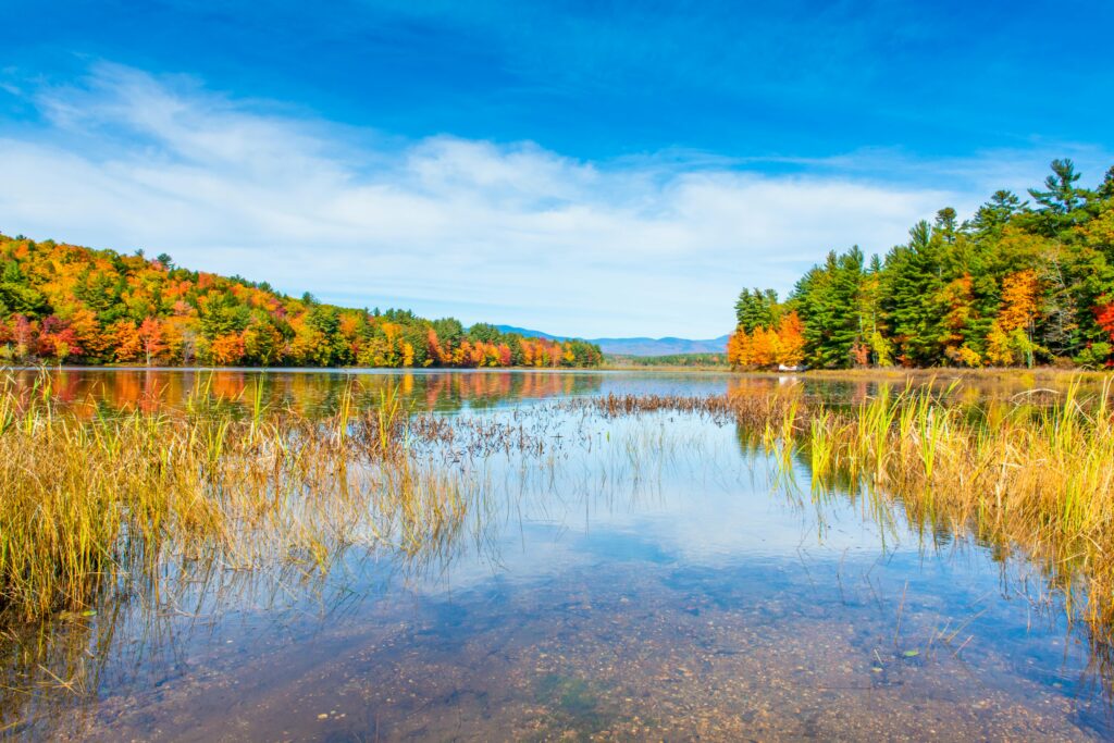 New Hampshire