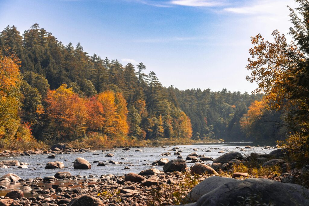 New Hampshire