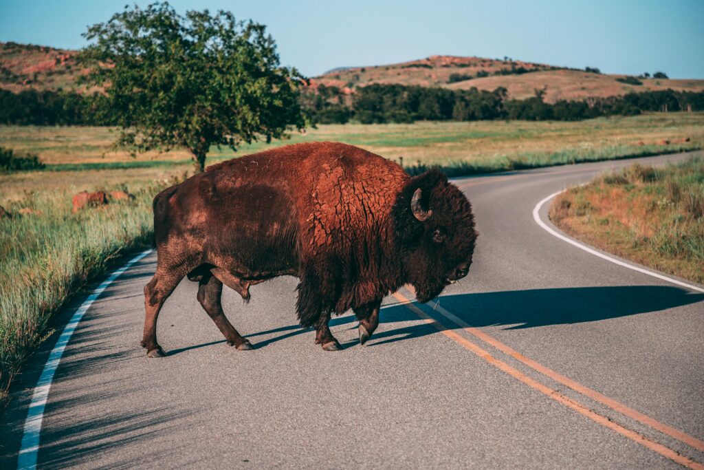 Oklahoma