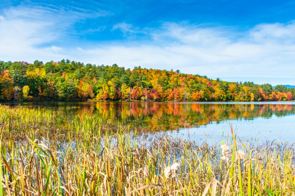 New Hampshire