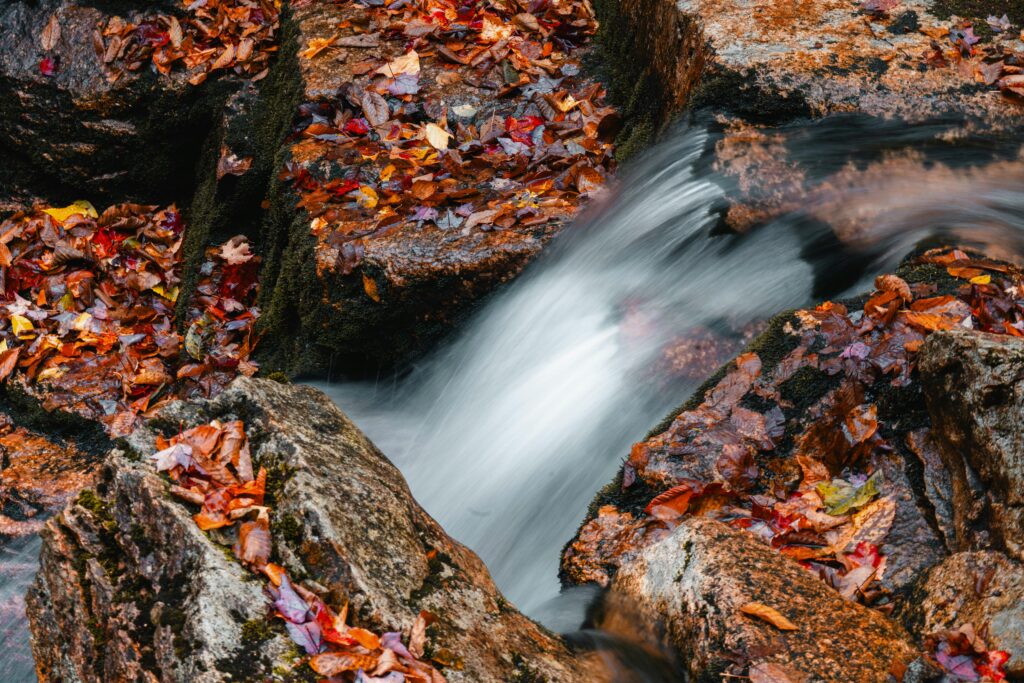 New Hampshire