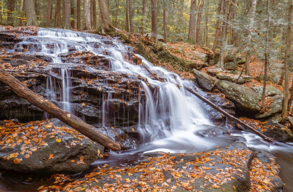 New Hampshire