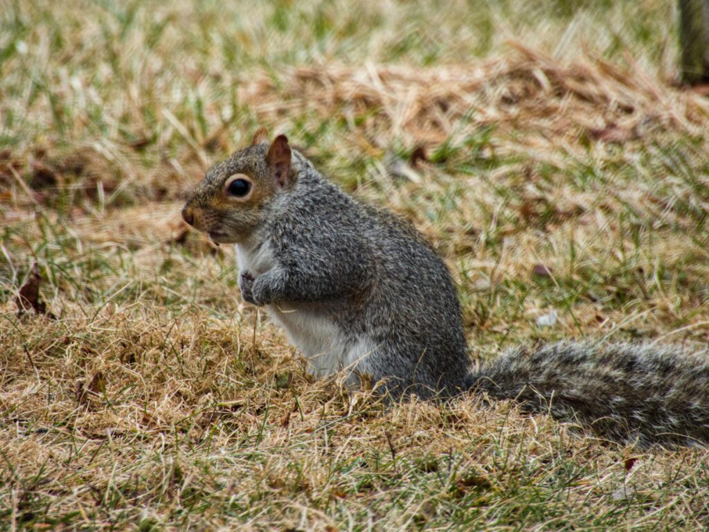 Pennsylvania