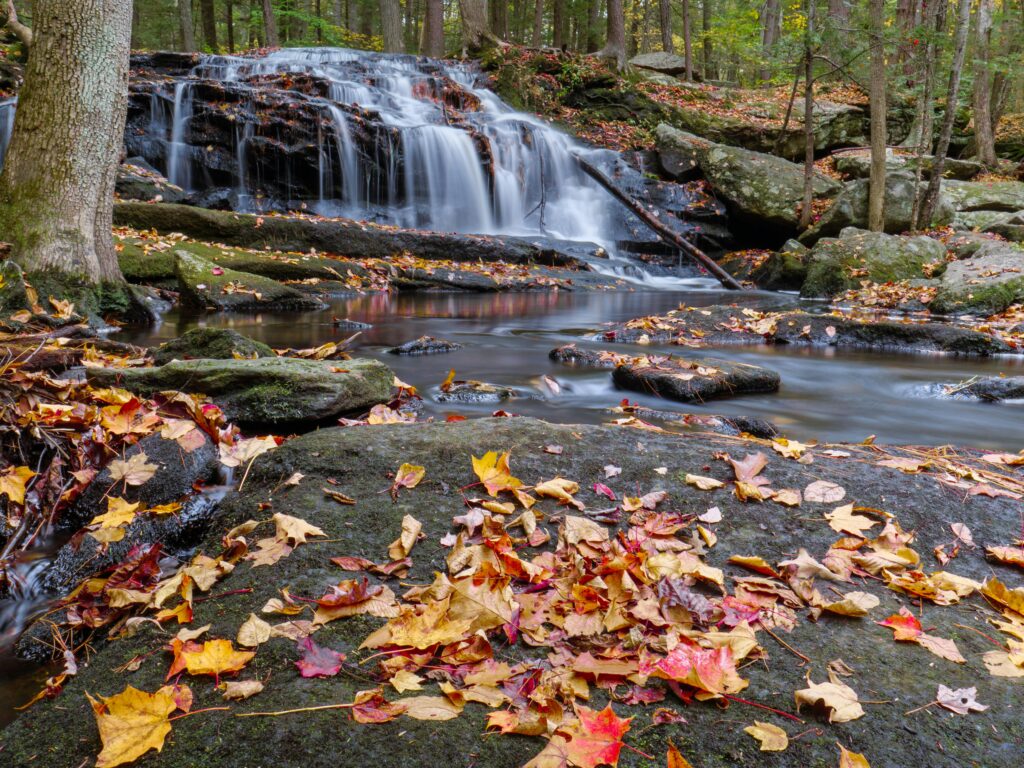 New Hampshire