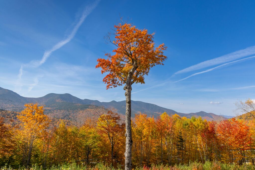 New Hampshire