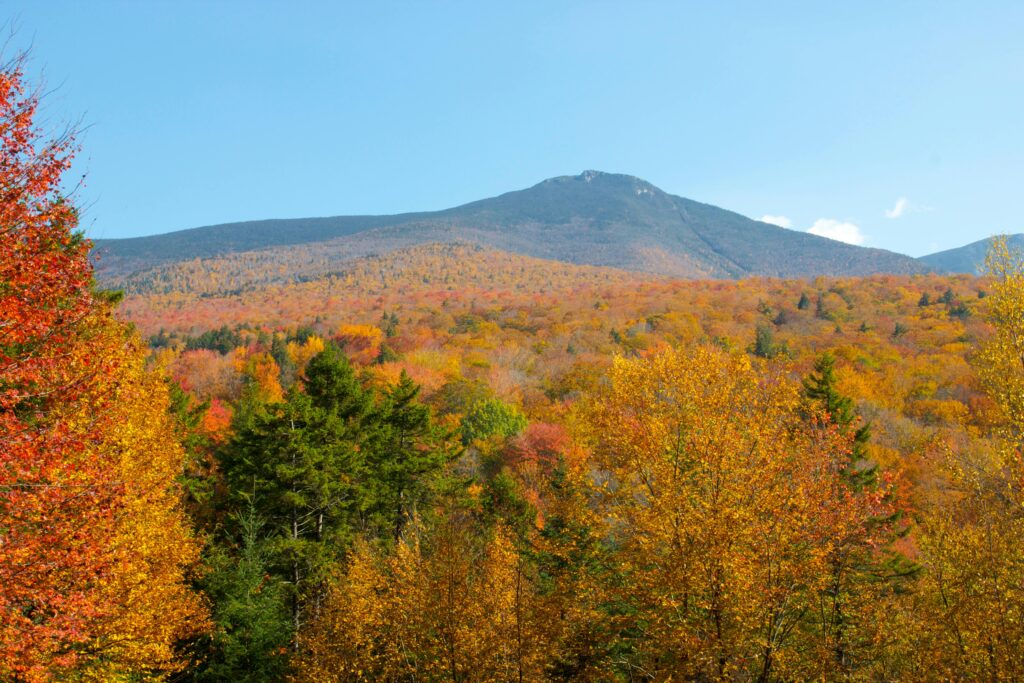 New Hampshire