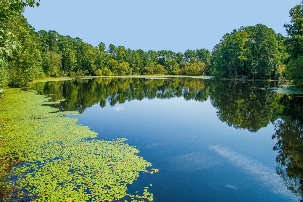 South Carolina