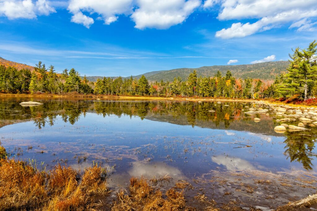 New Hampshire