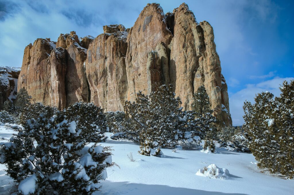 New Mexico
