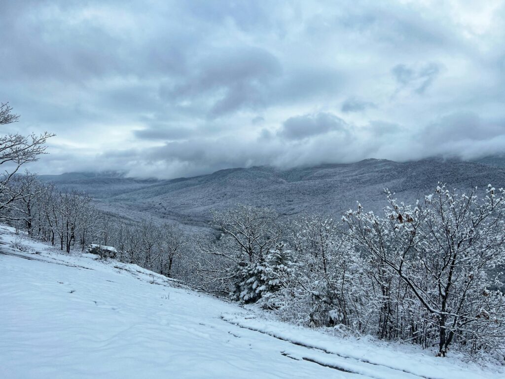 New Hampshire