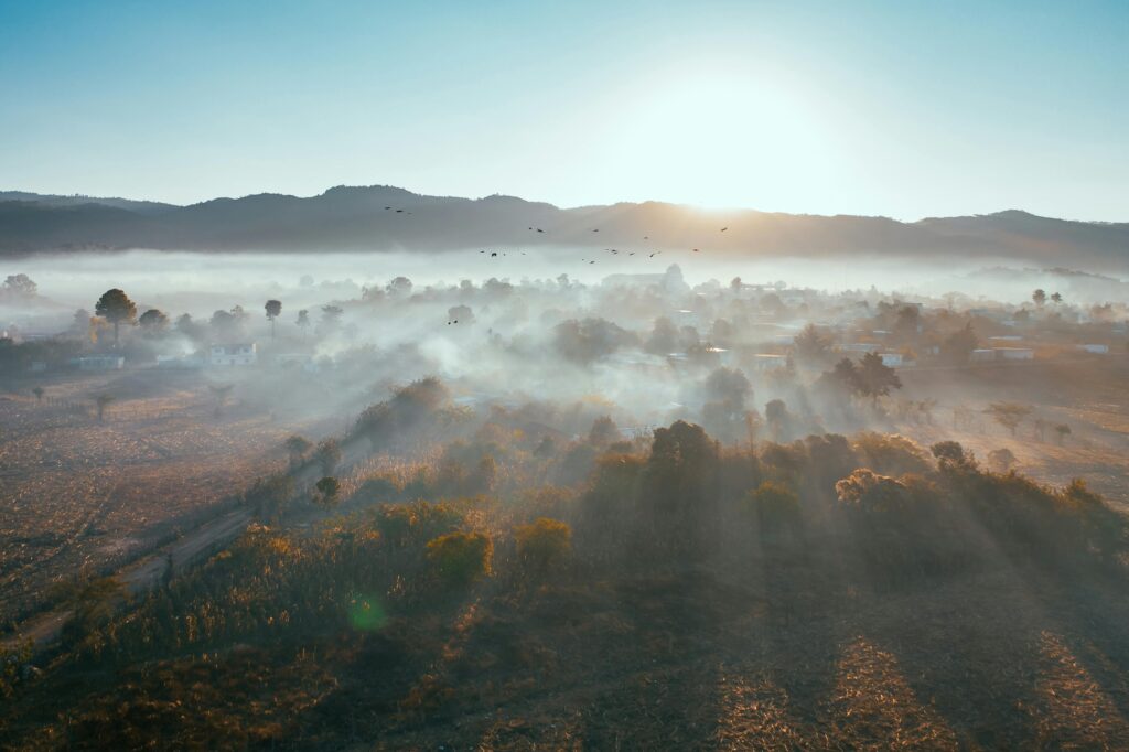 New Mexico