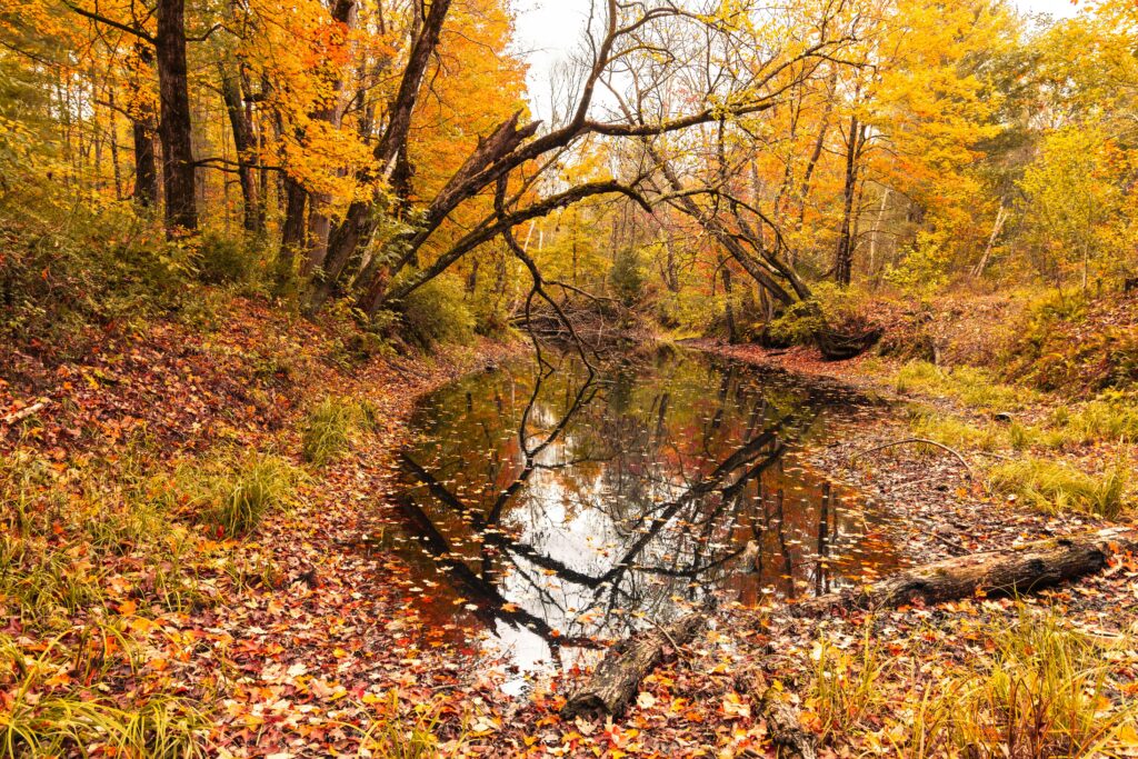 New Hampshire