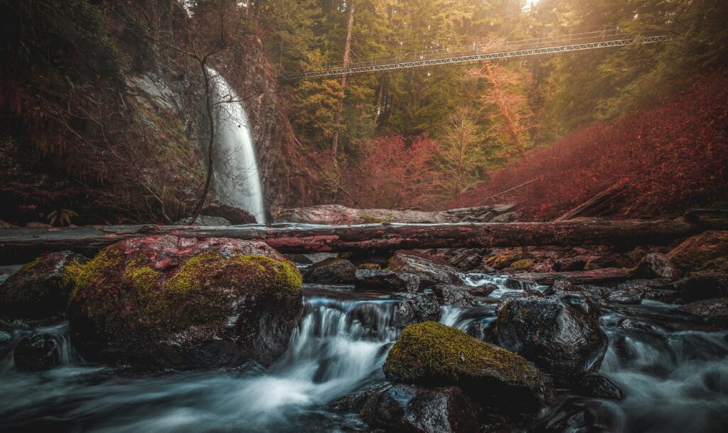 Oregon
