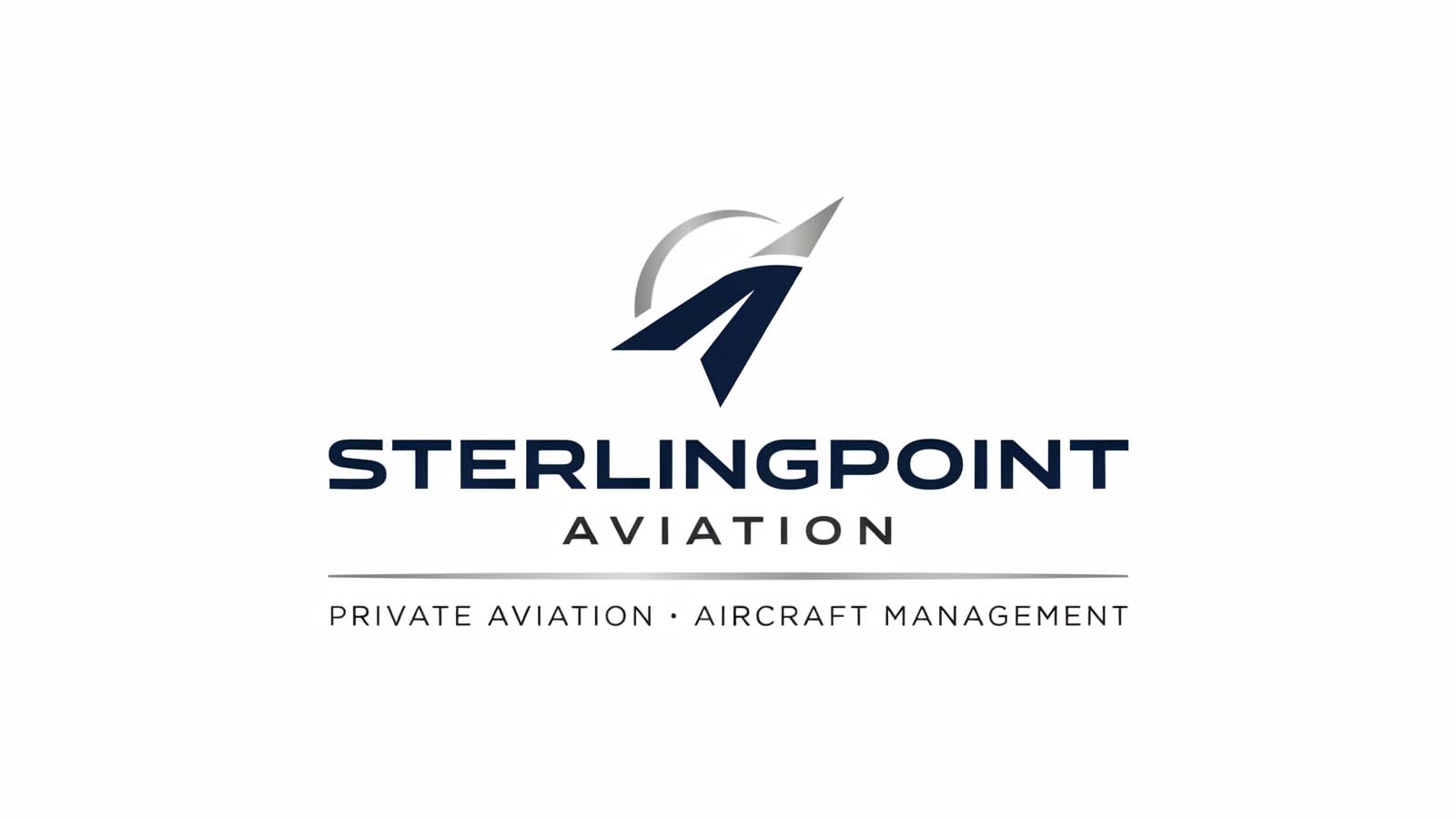 Professional logo design with dark bird emblem and minimalist wordmark